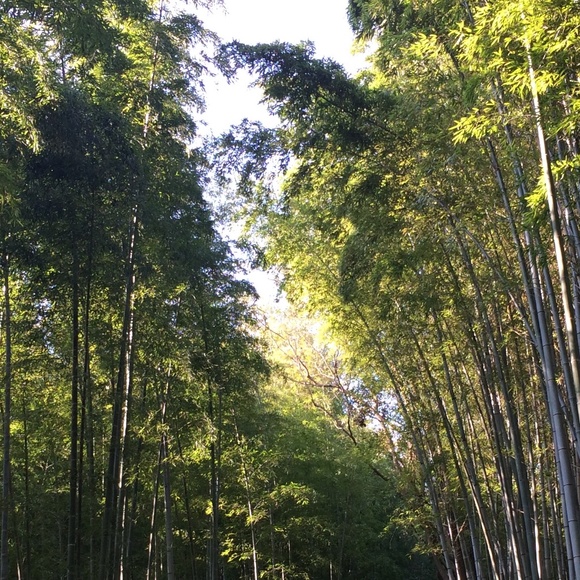 Meet your Posher, Courtney - Picture 1 of 1